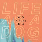 KFlay
