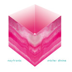 Das Albumcover zu MISTER DIVINE von Naytronix