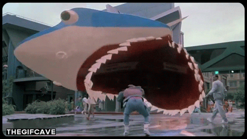 Zrück-in-die-Zukunft-Hai