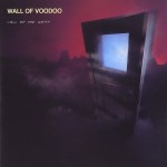 7_Wall_Of_Voodoo