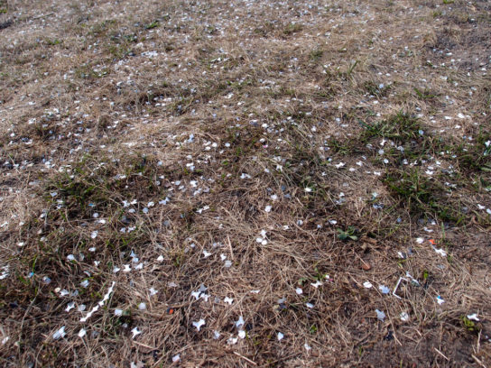 lolla_konfetti_marinelli