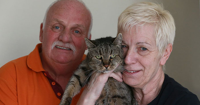 31-jahre-alte-katze-geburtstag