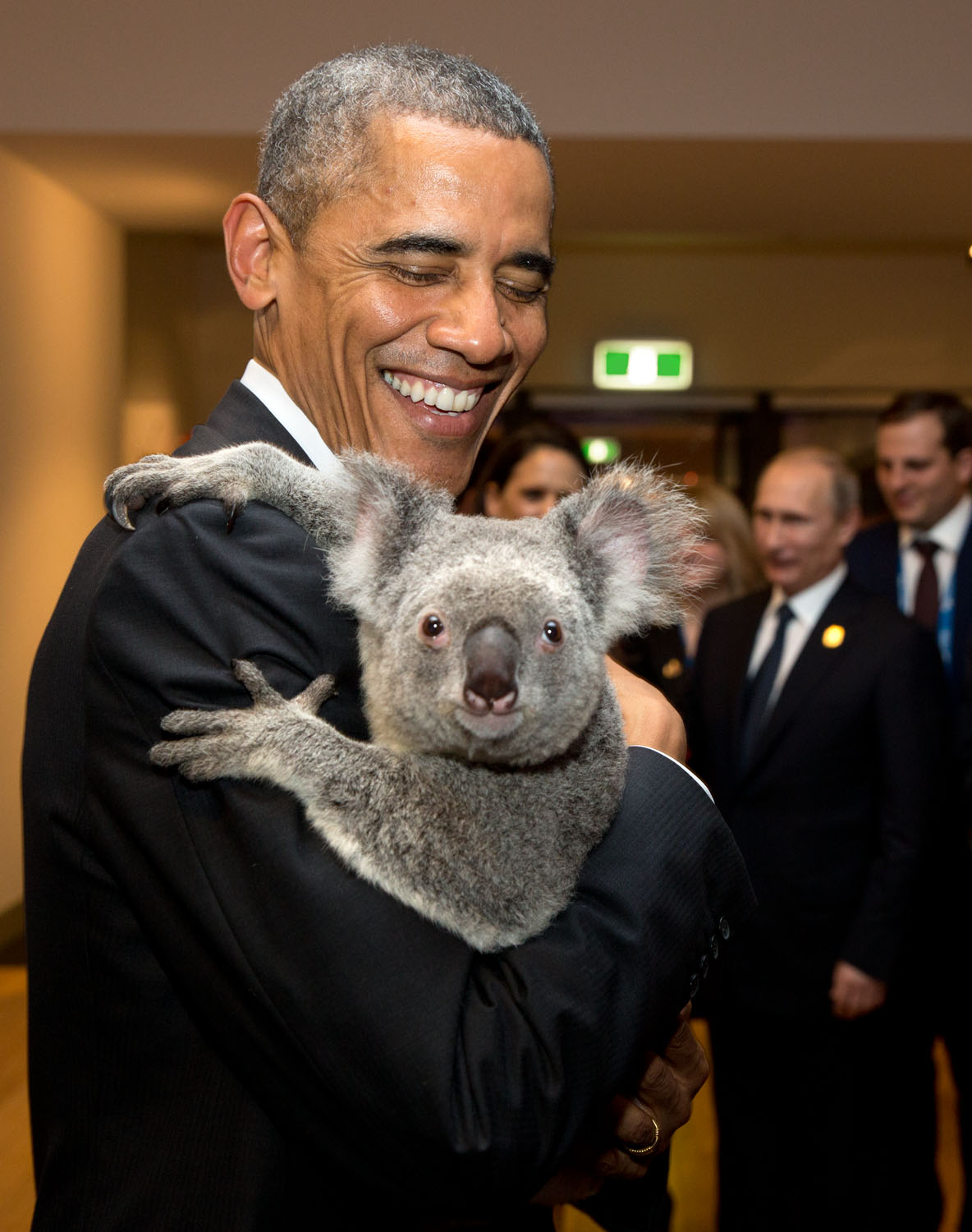 Nov. 15, 2014 "The President holds a koala backstage prior to the G20 Welcome to Country Ceremony at the Brisbane Convention and Exhibition Center in Brisbane, Australia." (Official White House Photo by Pete Souza) This official White House photograph is being made available only for publication by news organizations and/or for personal use printing by the subject(s) of the photograph. The photograph may not be manipulated in any way and may not be used in commercial or political materials, advertisements, emails, products, promotions that in any way suggests approval or endorsement of the President, the First Family, or the White House.