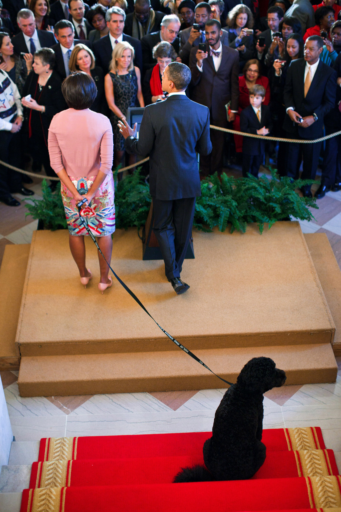 President Barack Obama is joined by First Lady Michelle Obama and Bo, the family dog, as he delivers remarks during a Christmas holiday reception in the Grand Foyer of the White House, Dec. 15, 2010. (Official White House Photo by Pete Souza) This official White House photograph is being made available only for publication by news organizations and/or for personal use printing by the subject(s) of the photograph. The photograph may not be manipulated in any way and may not be used in commercial or political materials, advertisements, emails, products, promotions that in any way suggests approval or endorsement of the President, the First Family, or the White House. 