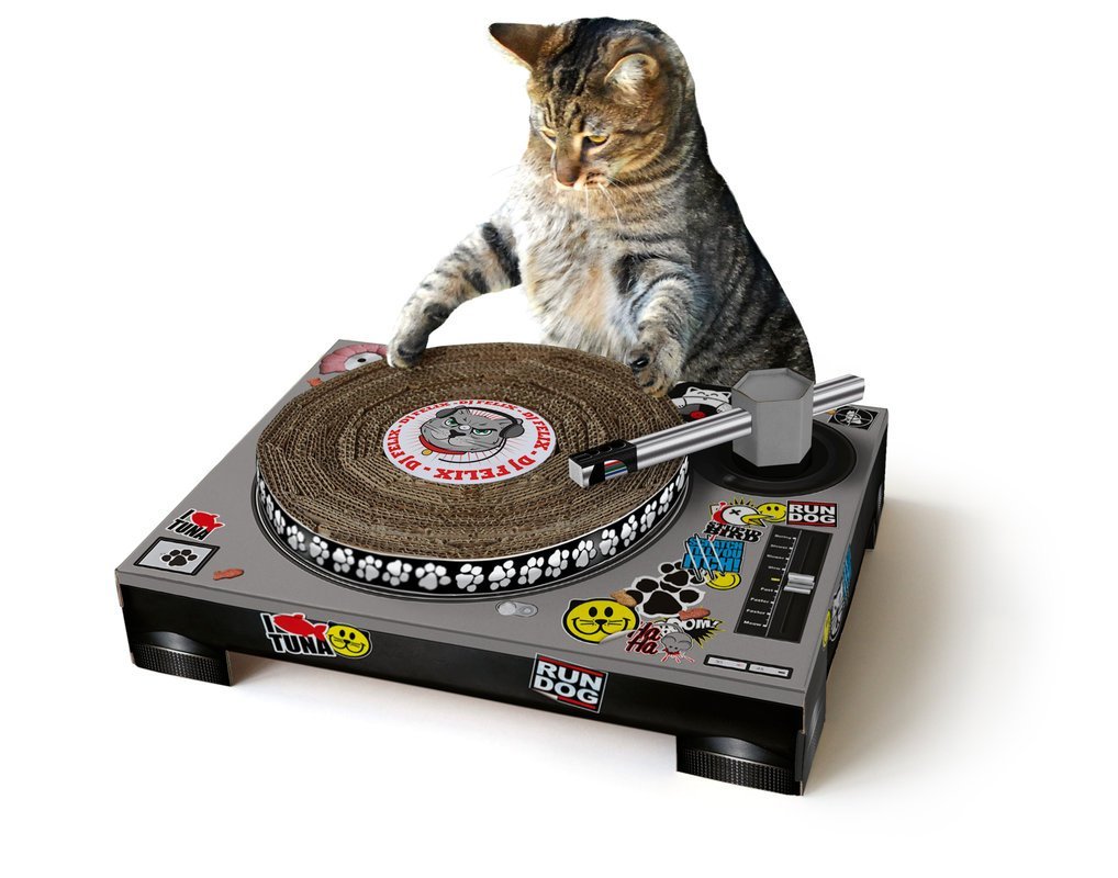 Für Vinyl- und Katzenfreunde: der Katzenplattenspieler
