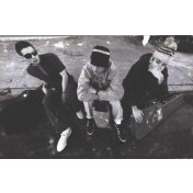 Beastie Boys - Check Your Head