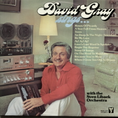 David Gray