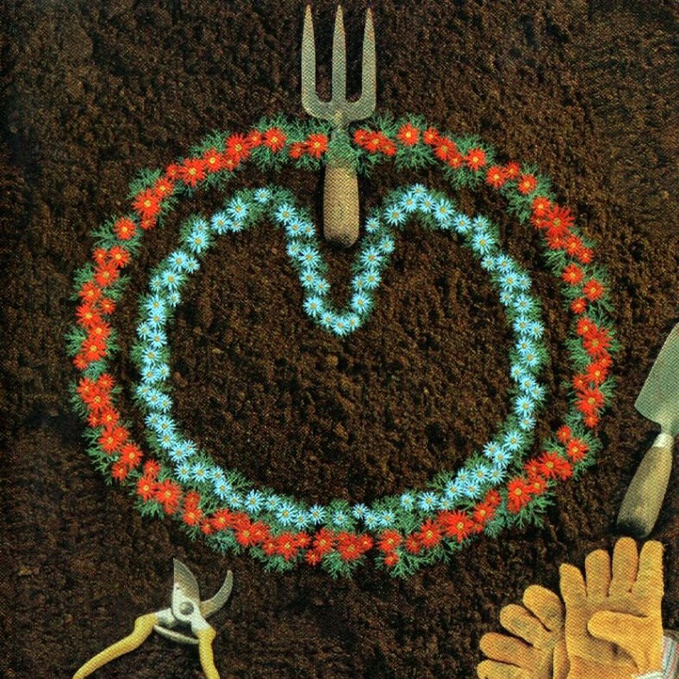 XTC-Homegrown-Frontal