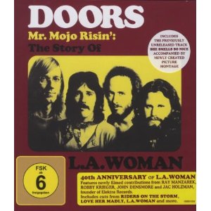 The Doors Mr. Mojo Risin Cover