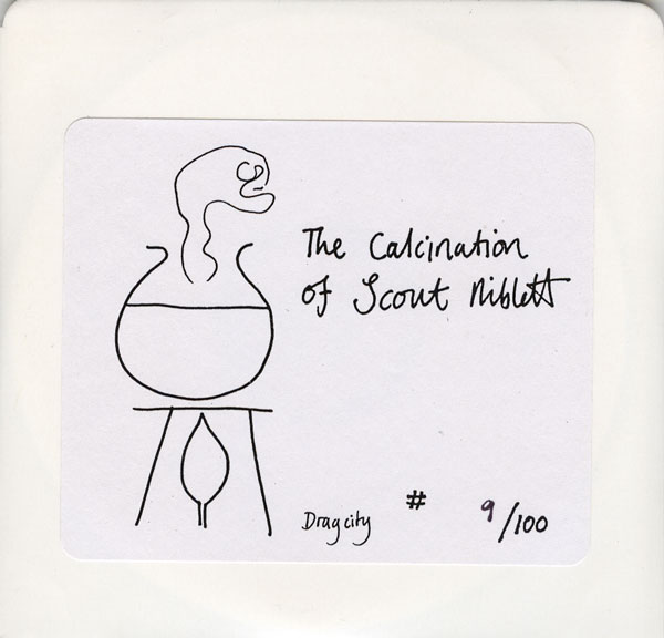 Scout Niblett - The Calcination Of Scout Niblett