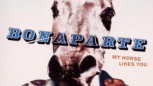 Bonaparte - My Horse Likes You