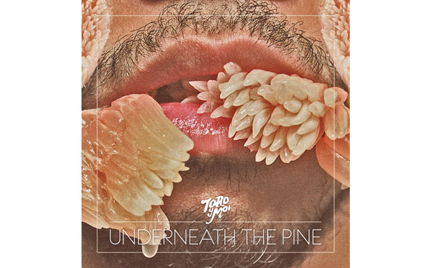 Toro Y Moi - Underneath The Pine