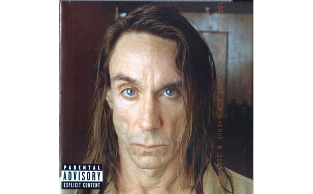 Januar 2000: "Punk hat fraglos ein musikalisches und soziales Verfallsdatum, und gerade deshalb ist "Avenue B" ein Meilens...