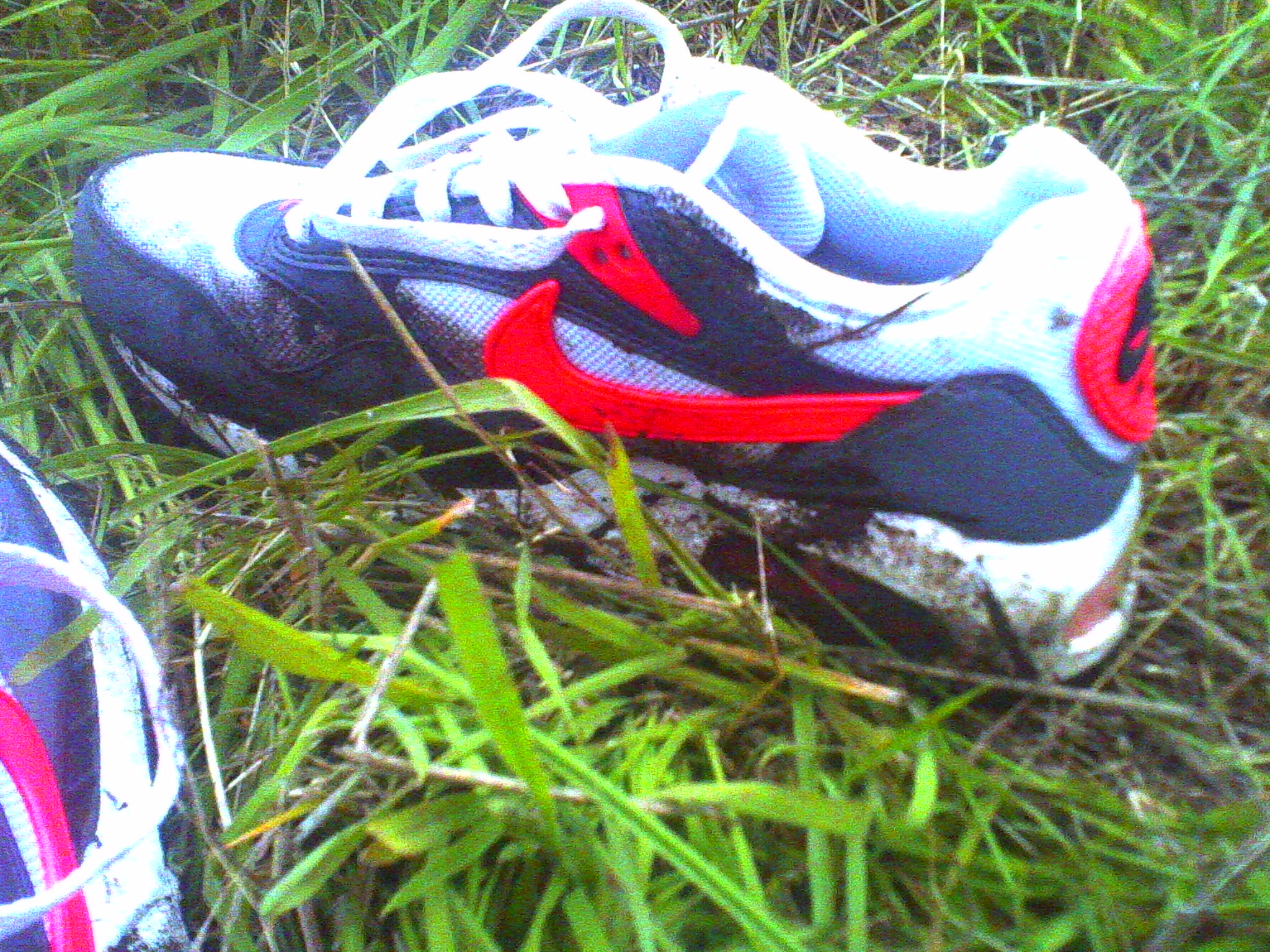 Festivalschlammschuh