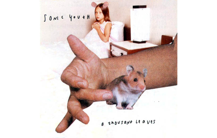 Sonic Youth – A Thousand Leaves