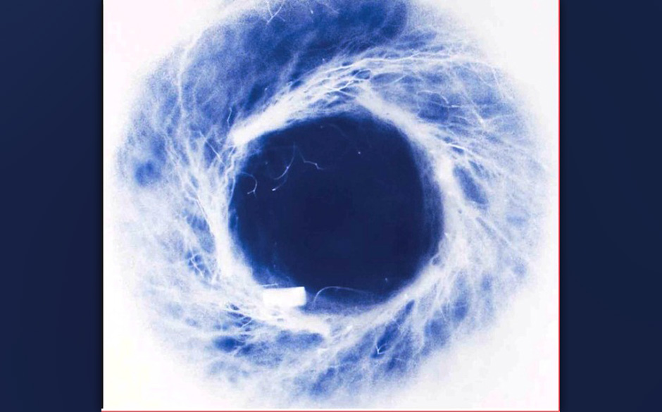 Yoko  Ono / Thurston Moore / Kim Gordon - YOKOKIMTHURSTON