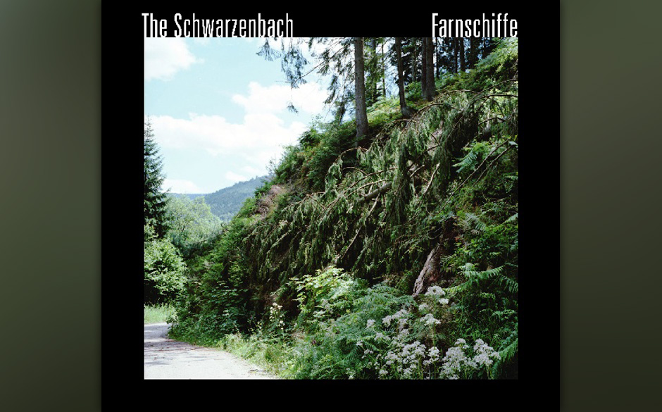 The Schwarzenbach - Farnschiffe