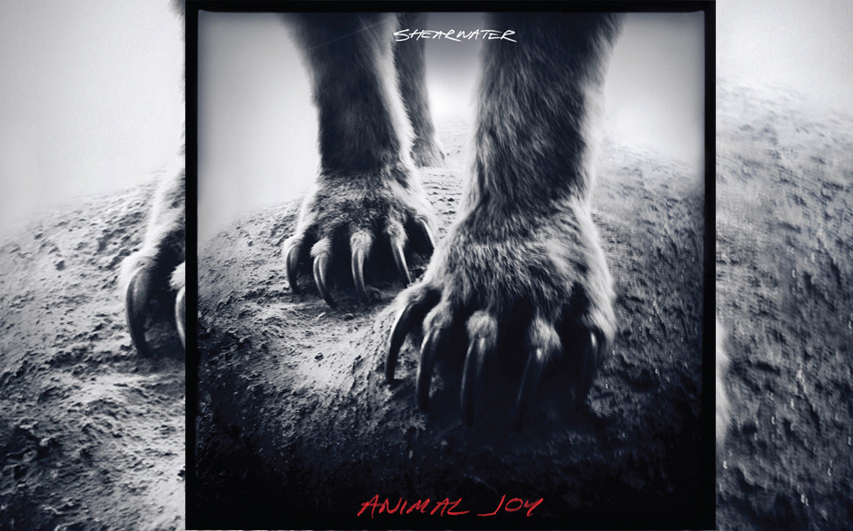 PLatz 92: Shearwater - Animal Kingdom (198 Stimmen)