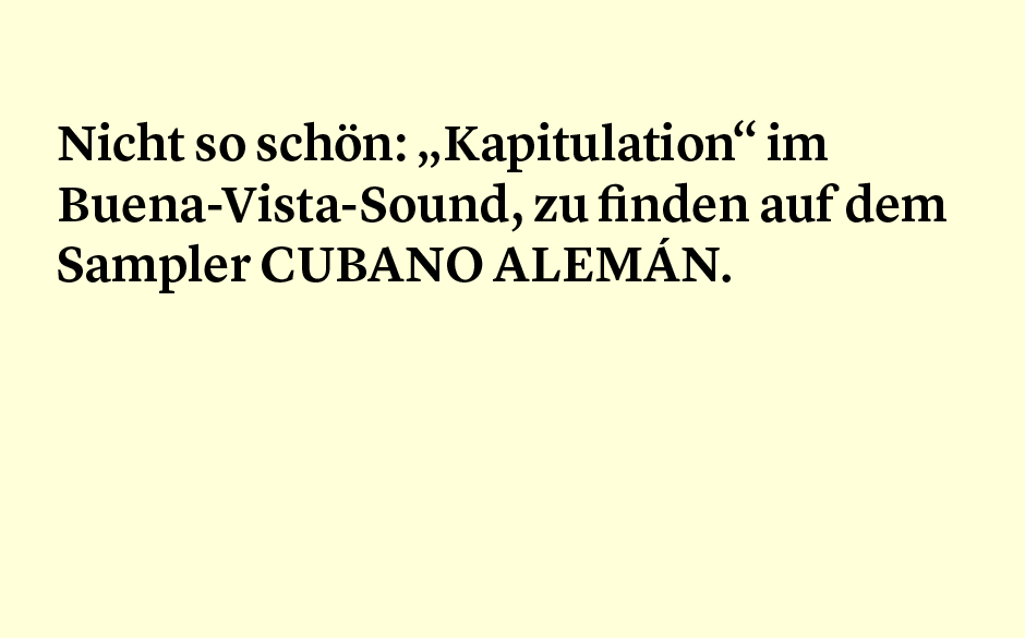 Faktum 81: der schlimmste Tocotronic-Remix