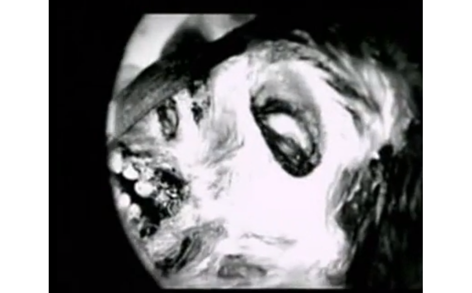 Von Natur aus Zombies: Die Misfits