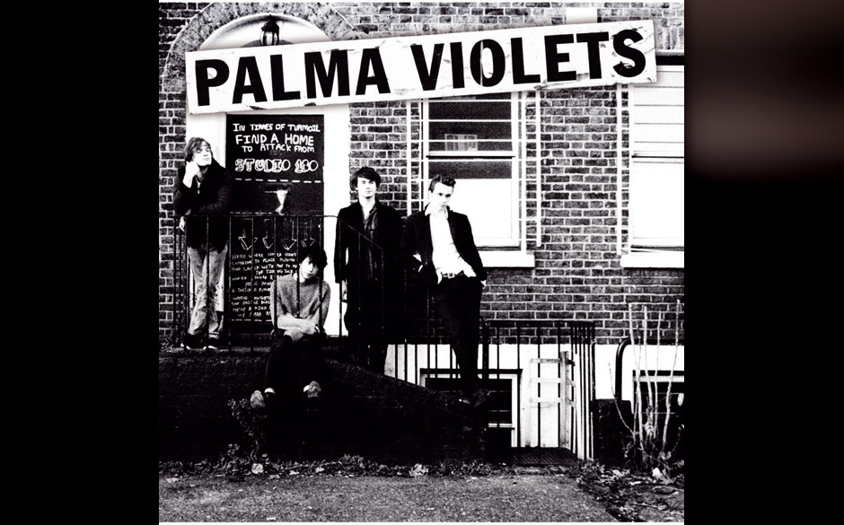 PalmaViolets.jpg