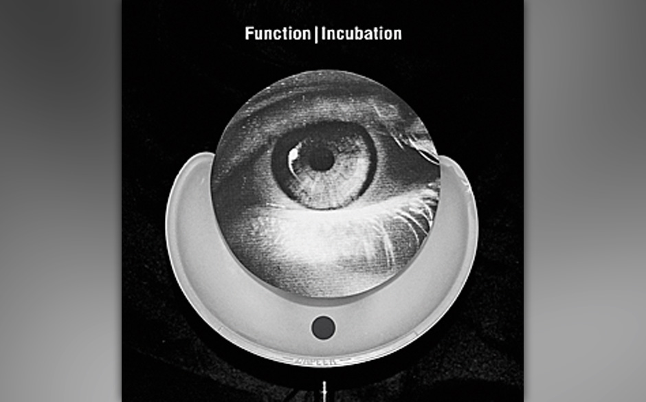 Function - Incubation