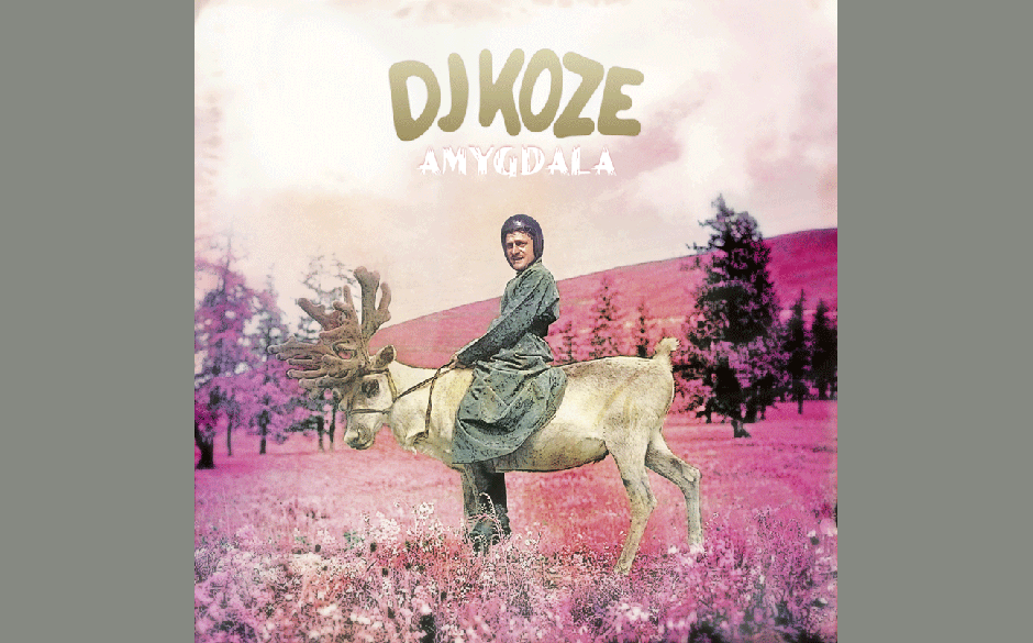 Platz 8: DJ Koze - Amygdala