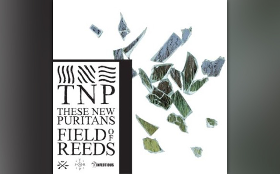 These New Puritans - "Field of Reeds"