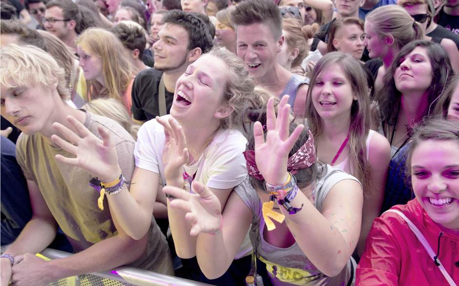 Die Fans vom Southside 2013