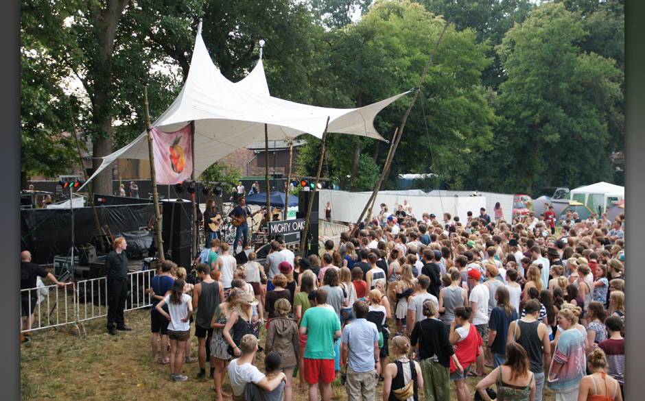 Publikum beim Appletree Garden Festival 2013