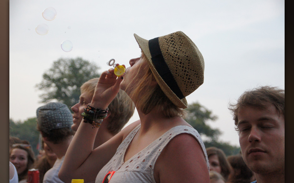 Publikum beim Appletree Garden Festival 2013
