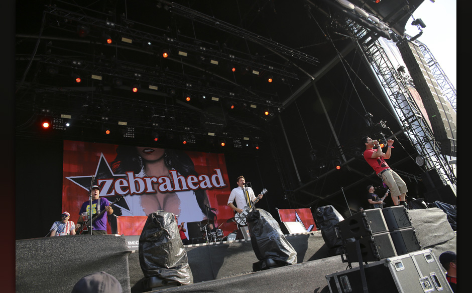 130817-1249-zebrahead.jpg