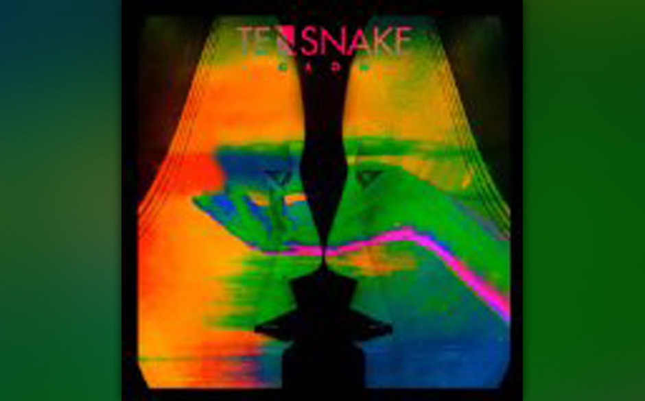 tensnake_.jpg