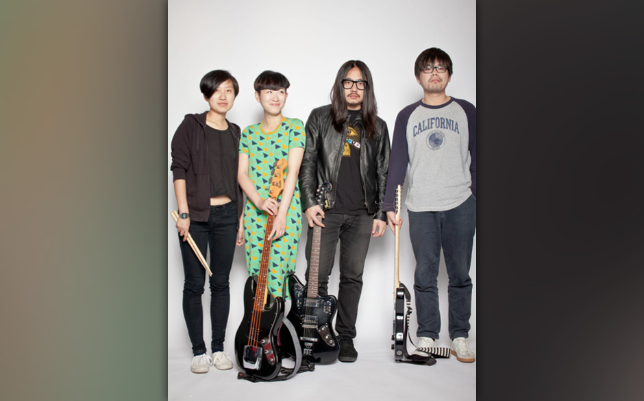 duck fight goose 1.jpg