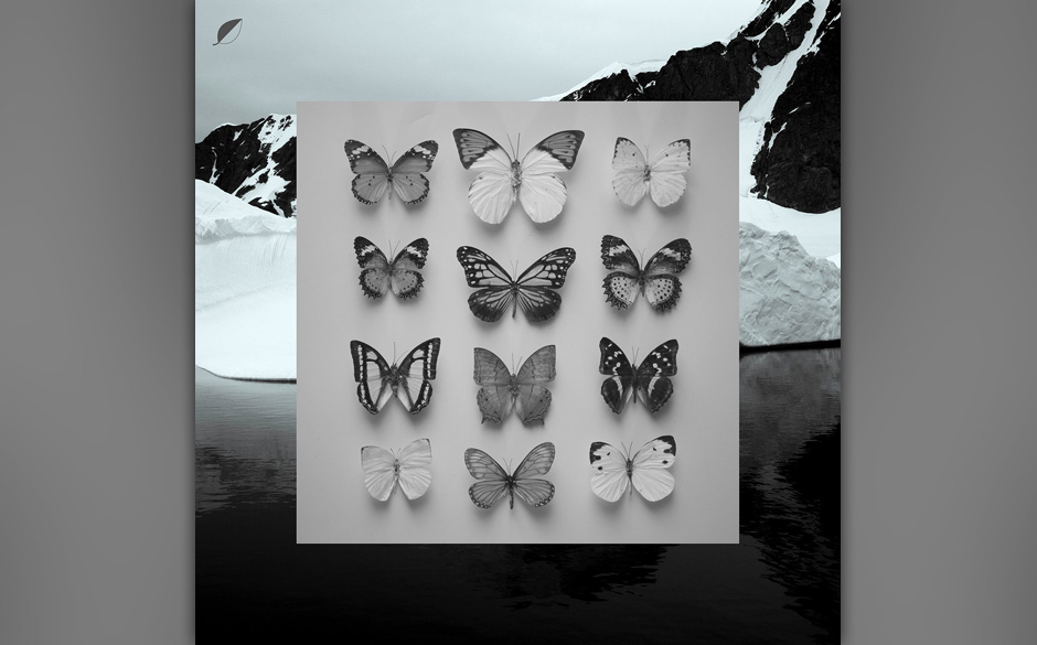 Christian Löffler - YOUNG ALASKA