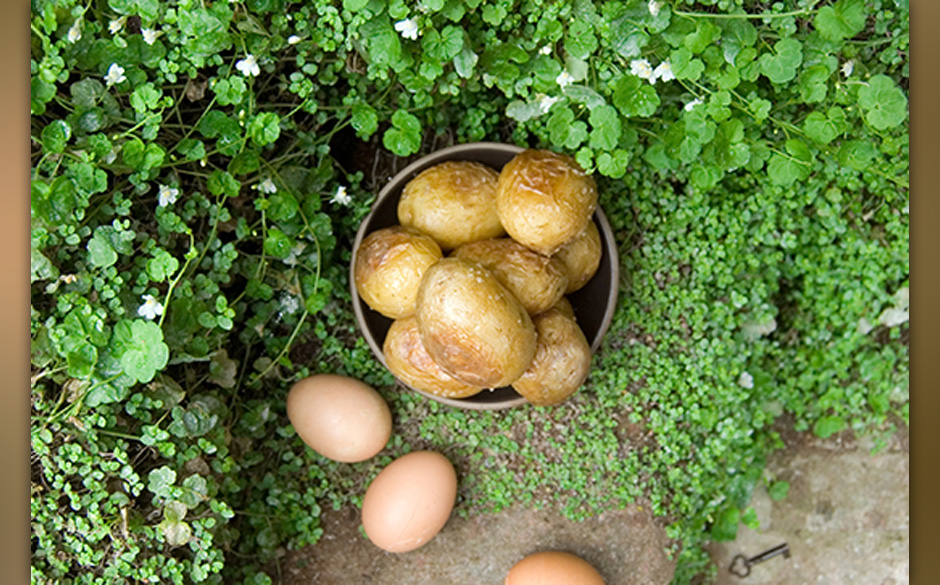 Frances Hodgson Burnett - "Der geheime Garten": 
Einen mysteriösen Garten entdeckt Mary Lennox - Kartoffel, Kräuter und ...