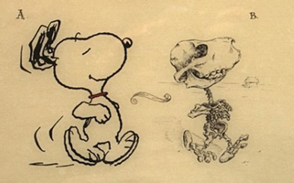 Snoopy