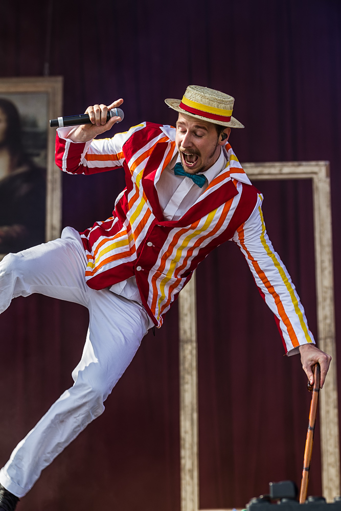 Alligatoah - Rock im Park 2014 - 8-6-2014_0005.jpg