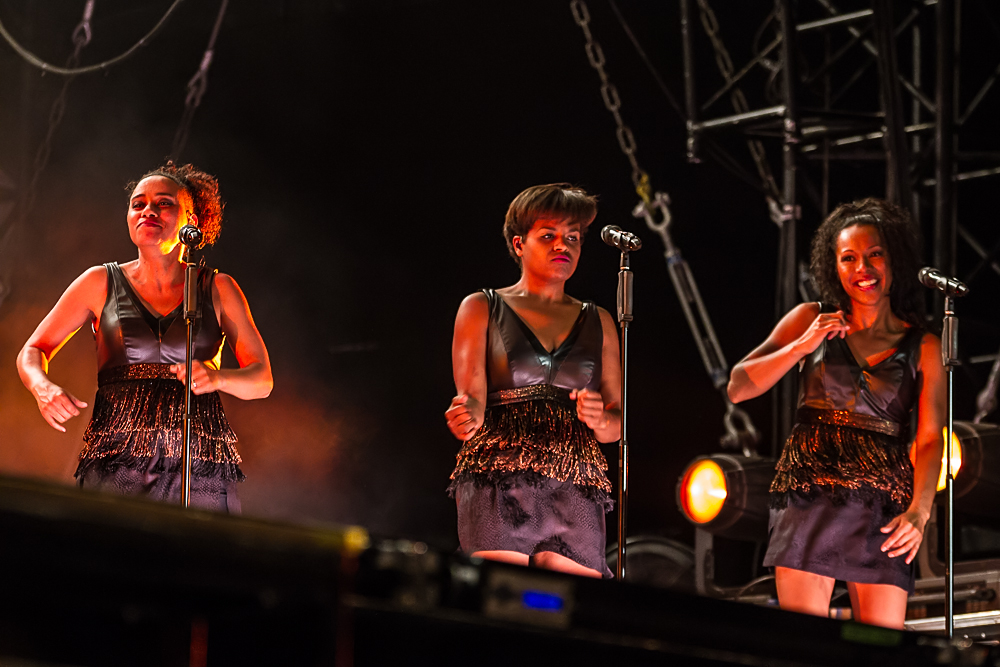 Jan Delay - Rock im Park 2014 - 8-6-2014_0002.jpg