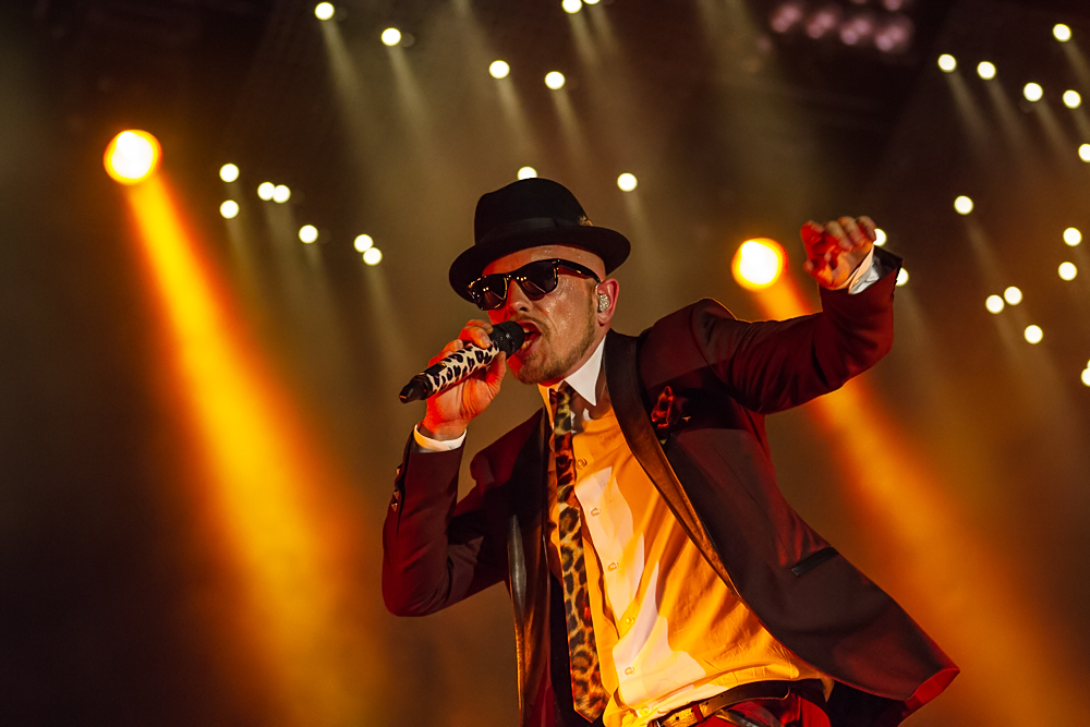 Jan Delay - Rock im Park 2014 - 8-6-2014_0008.jpg