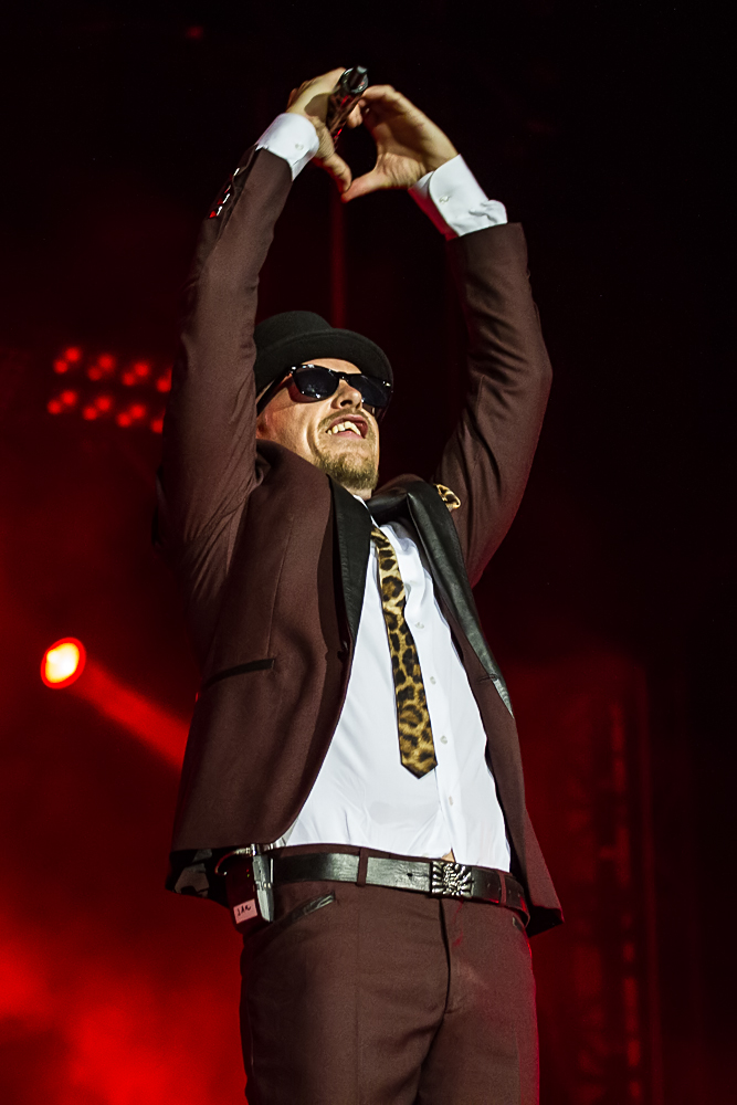 Jan Delay - Rock im Park 2014 - 8-6-2014_0010.jpg