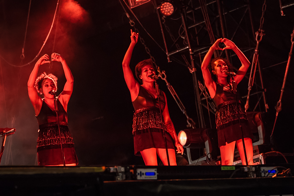 Jan Delay - Rock im Park 2014 - 8-6-2014_0014.jpg