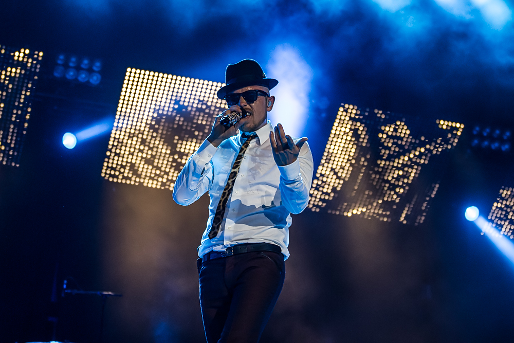 Jan Delay - Rock im Park 2014 - 8-6-2014_0017.jpg