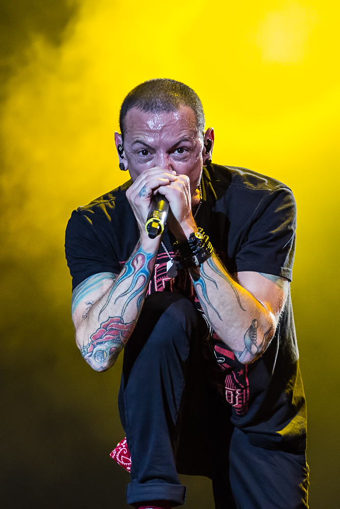 Linkin Park - Rock im Park 2014 - 8-6-2014_0019.jpg