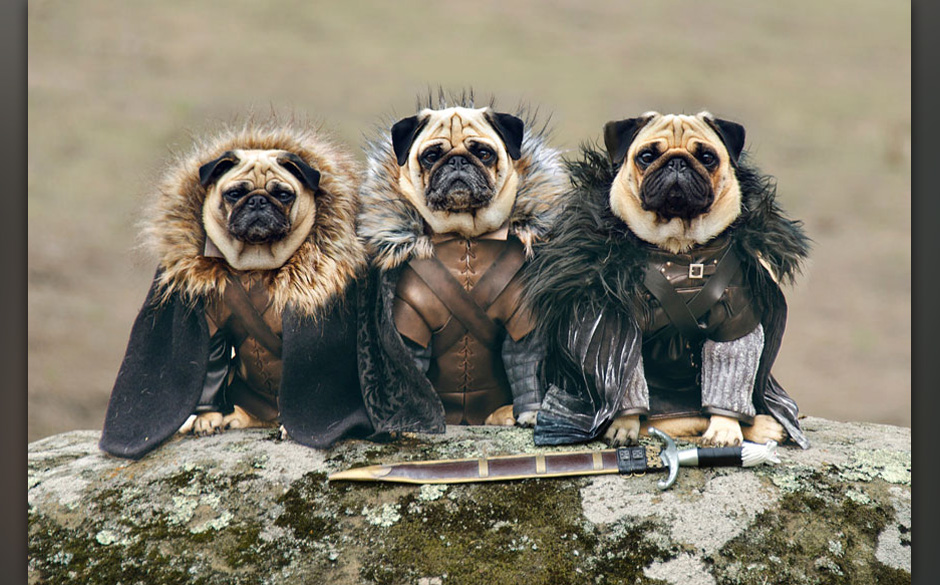 Robb Stark, Ned Stark und Jon Snow