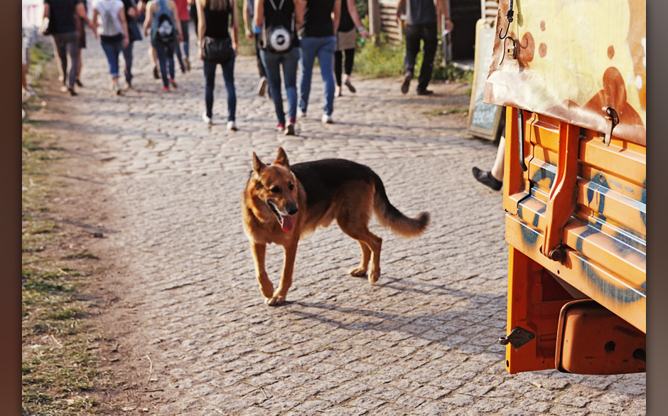 Berlin Festival 2014