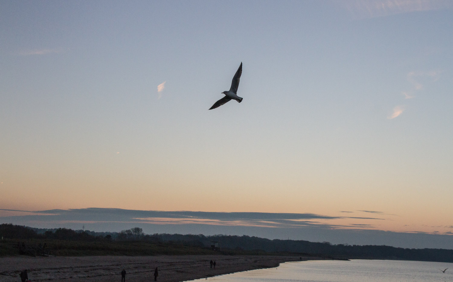 Rolling Stone Weekender 2014