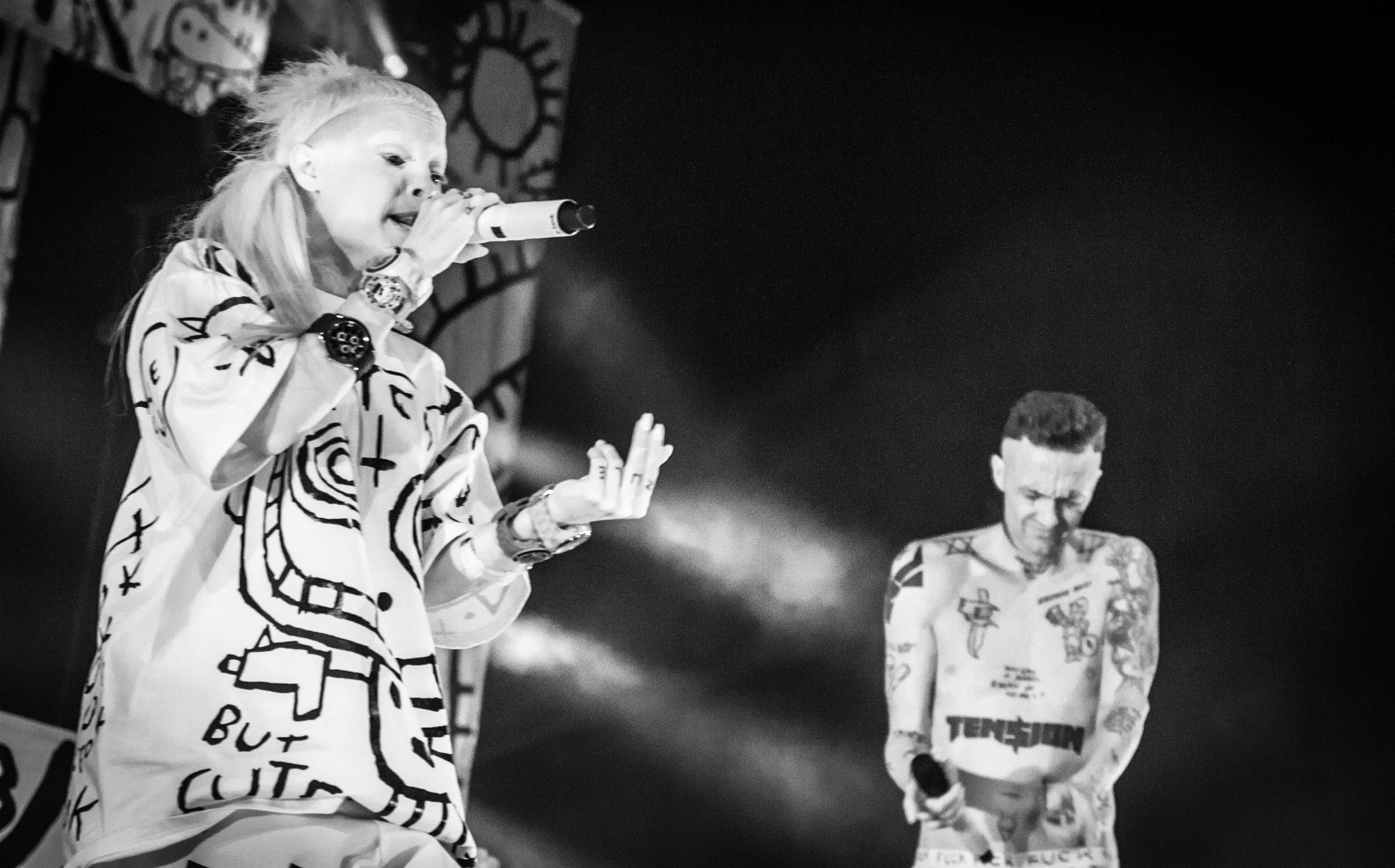 Die Antwoord