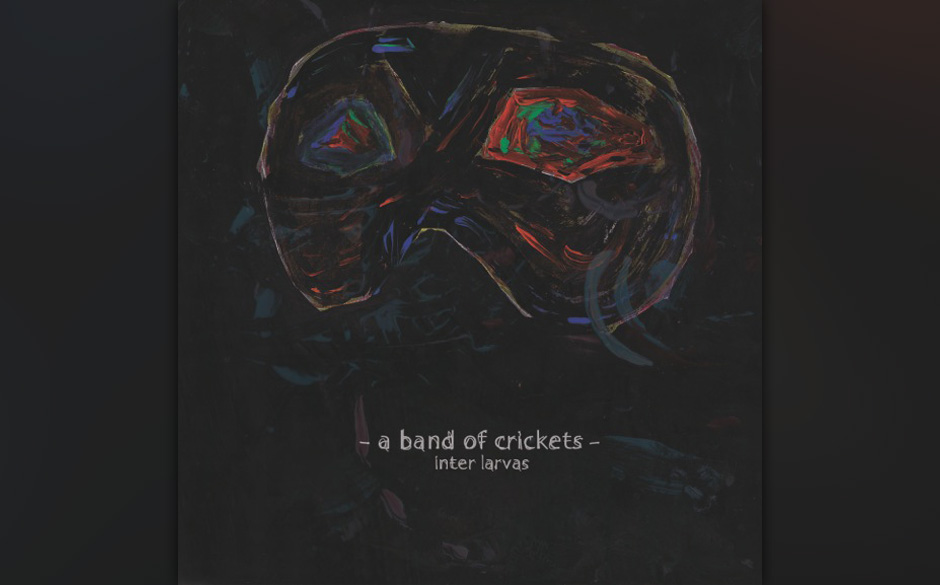A Band Of Crickets - INTER LARVAS