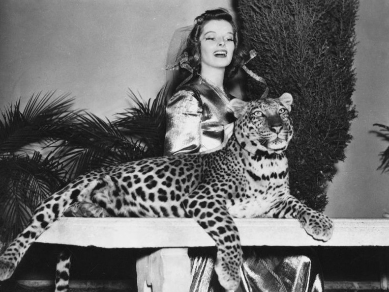 71. Leoparden küsst man nicht.JPG